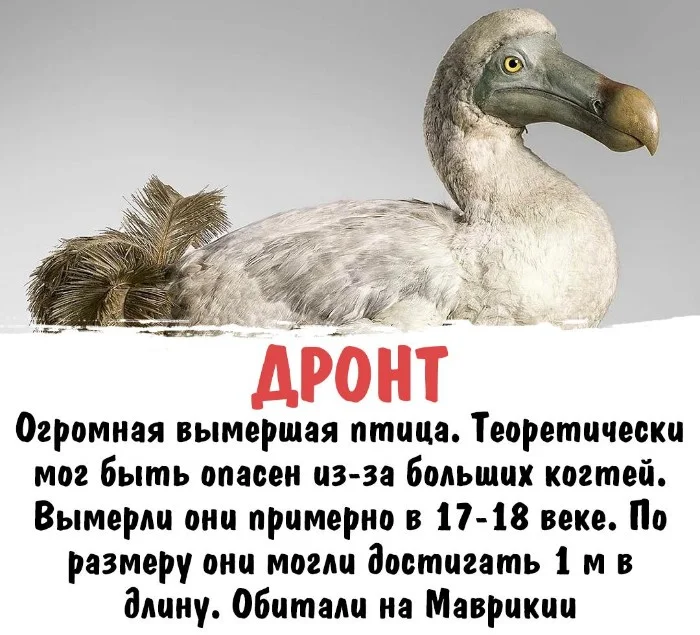 Интересная биология #44