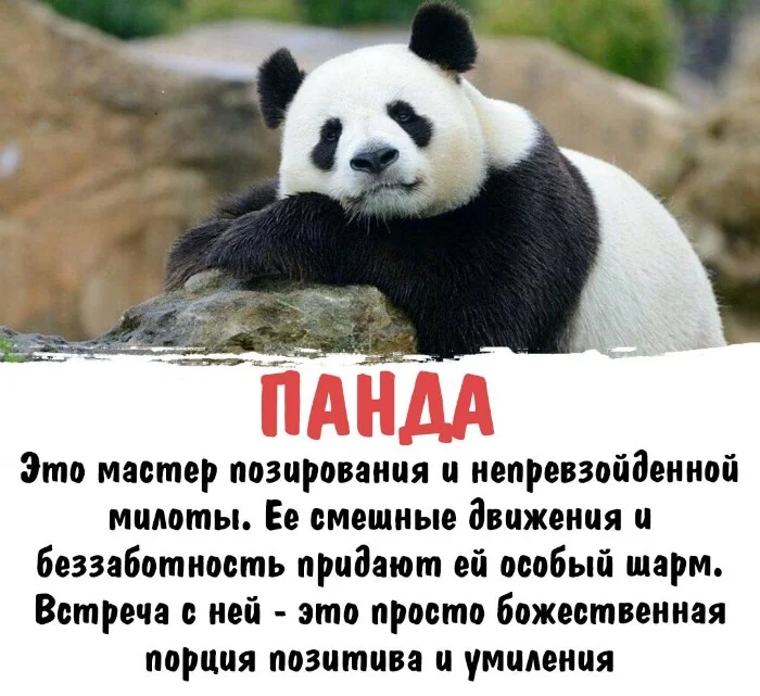 Интересная биология #44