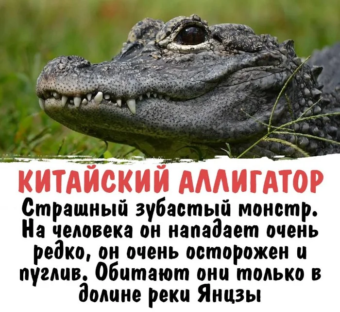 Интересная биология #46