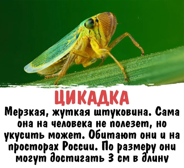 Интересная биология #46