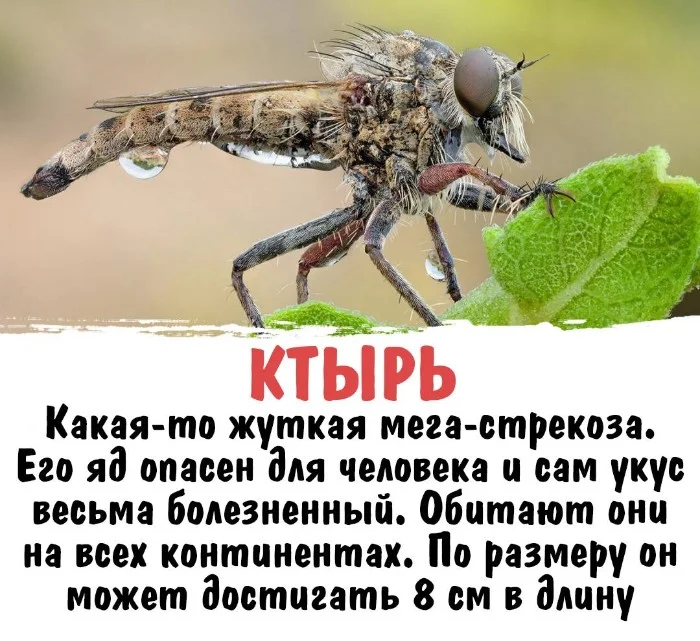 Интересная биология #47