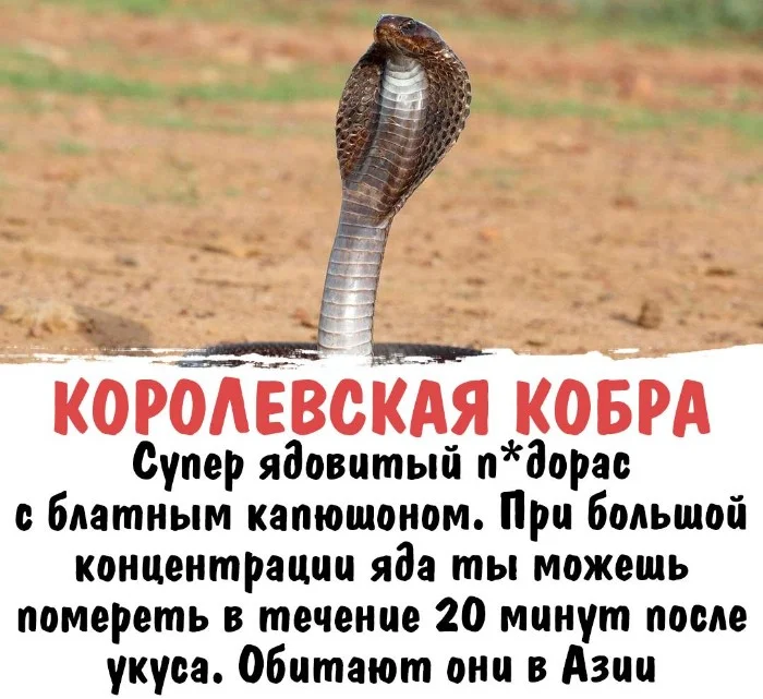 Интересная биология #48