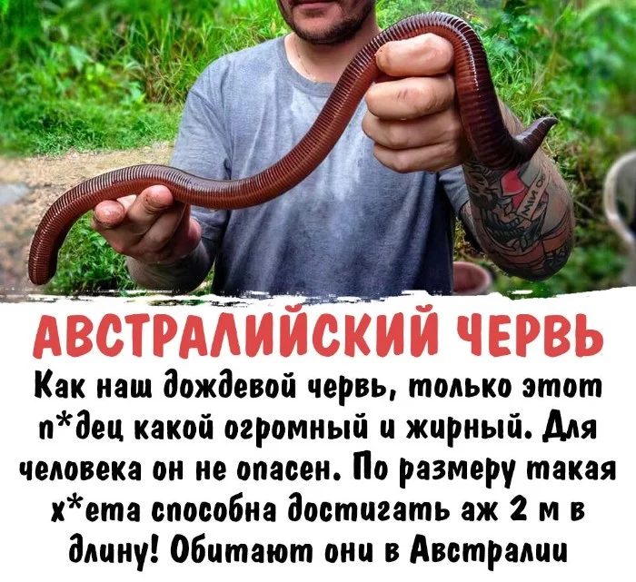 Интересная биология #49