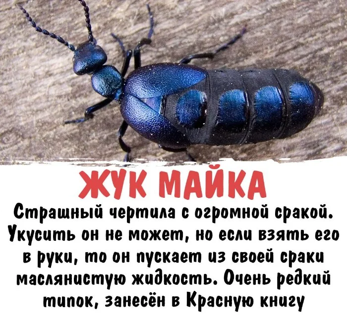 Интересная биология #51