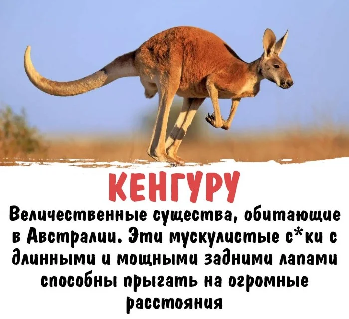 Интересная биология #53