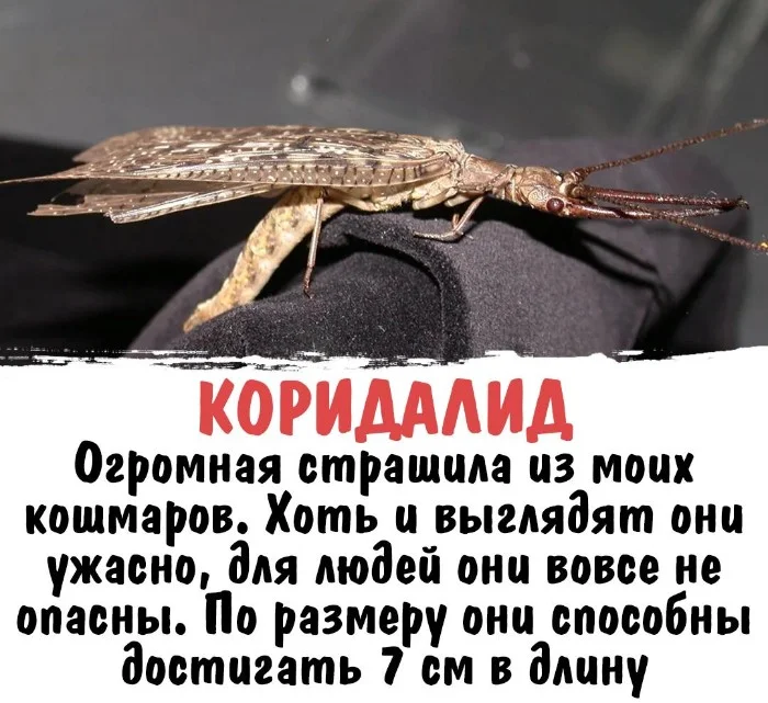 Интересная биология #56