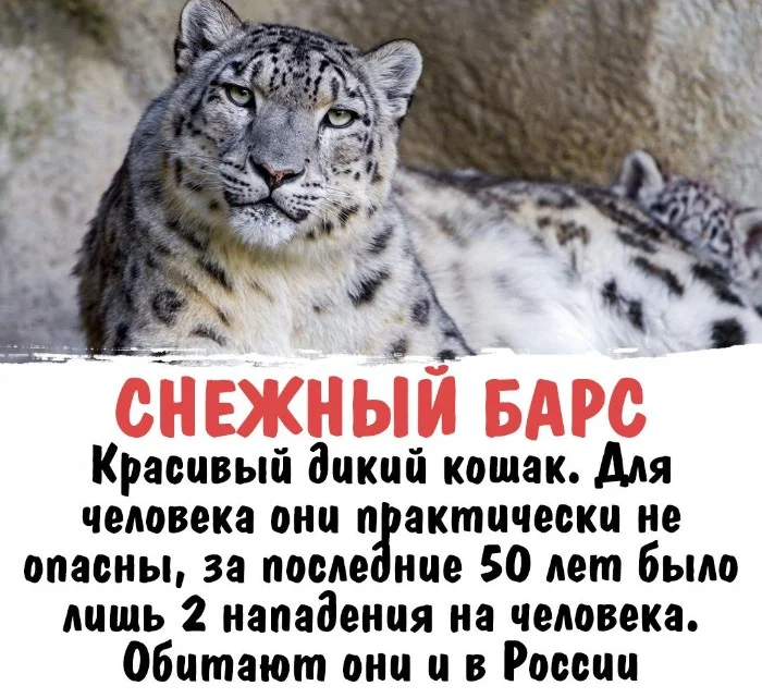 Интересная биология #56