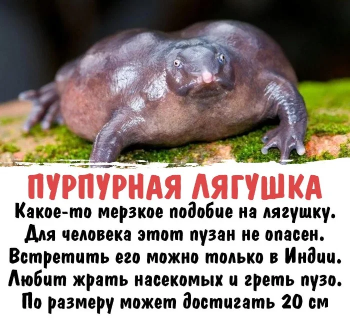 Интересная биология #57