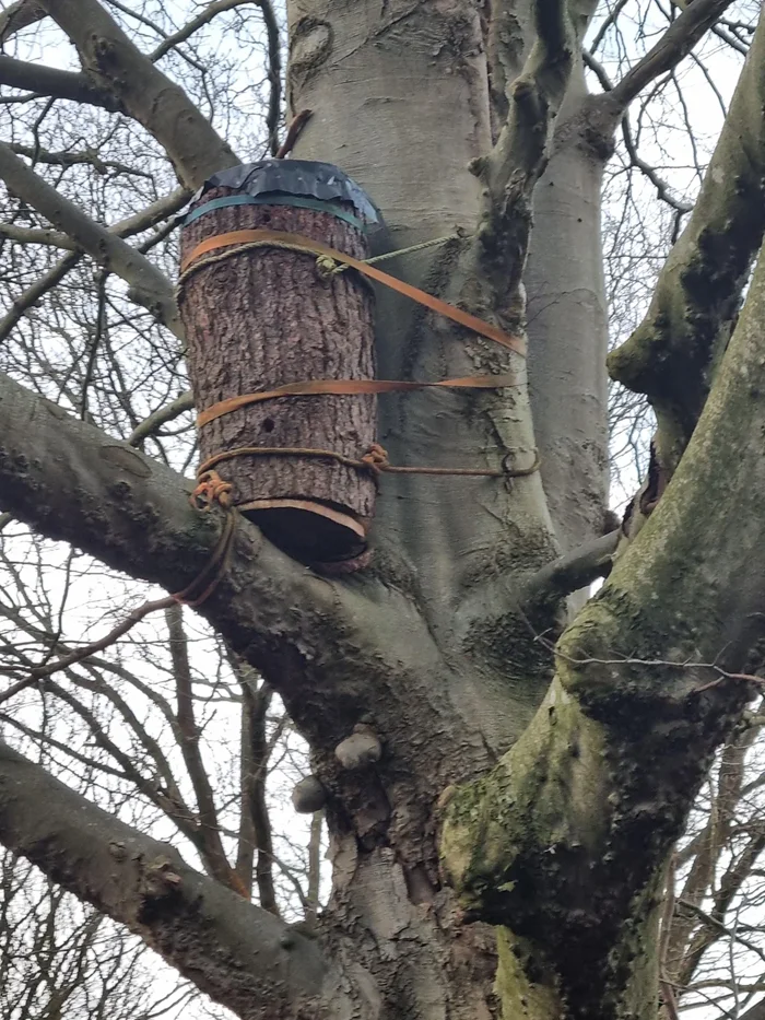 Что это такое?