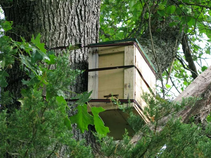 Что это такое?