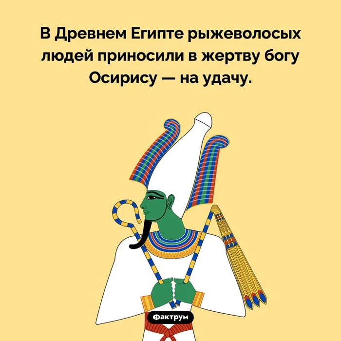 Немного фактов