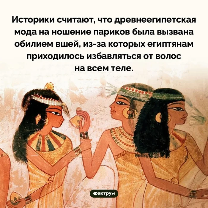 Немного фактов