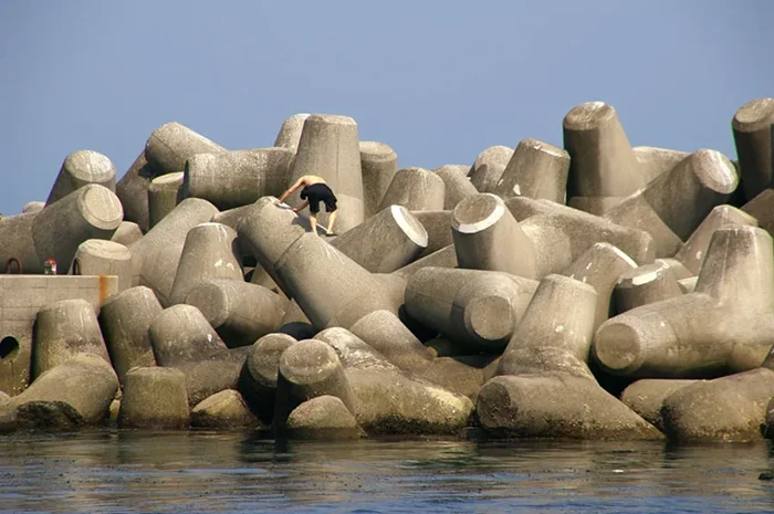 Эти необычные вещи у моря: как они называются?