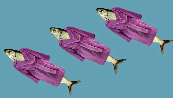 Зимние повадки рыб: что скрывается подо льдом?