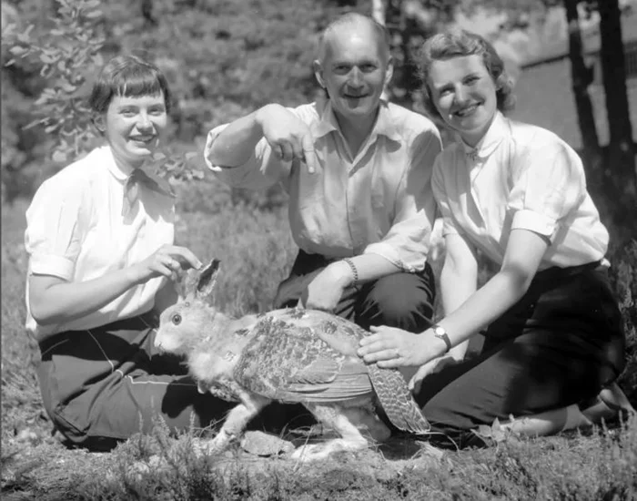 Что такое сквадер: загадочный зверь, который стал символом города