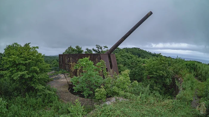 Береговая батарея № 982: забытая крепость в приморских зарослях