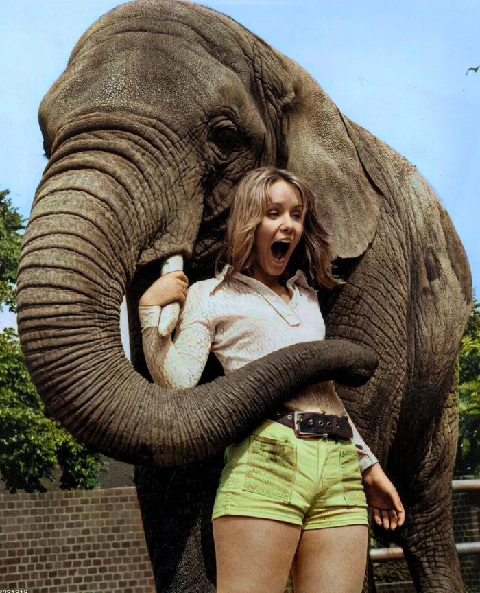 История Великобритании в цвете: 20 раскрашенных фото ХХ века