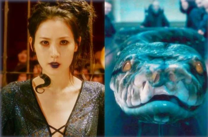 Нагайна из «Гарри Поттера»: кем она была и как стала слугой Воландеморта?