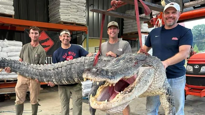 Спасённые от вымирания: виды, которым вернули шанс на жизнь