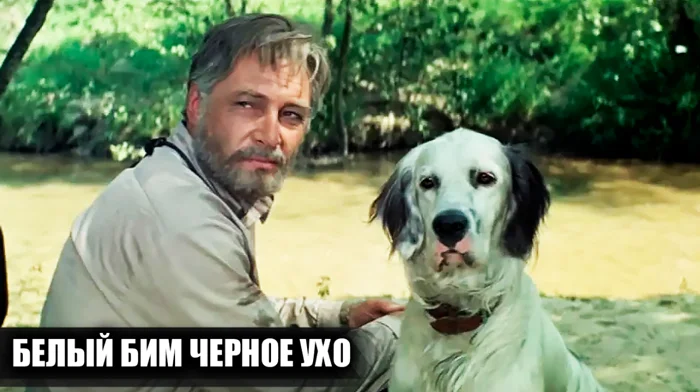 Съёмки «Белого Бима Чёрное ухо»: 12 удивительных фактов и редкие кадры