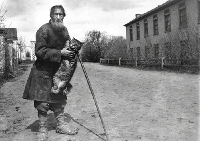 Кошкодавы в России: кто они и чем занимались?