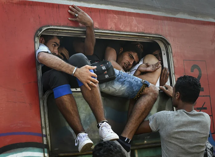 Какие мигранты приносят пользу государству, а какие — убытки?