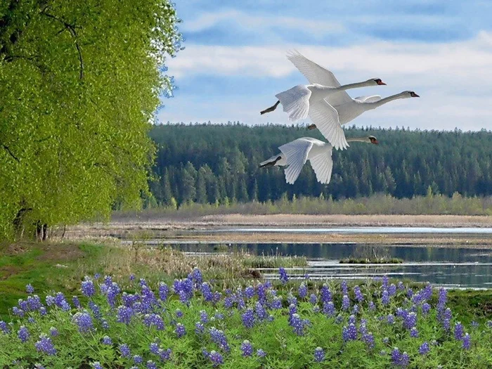 Киношные советы, которые в реальной жизни могут навредить