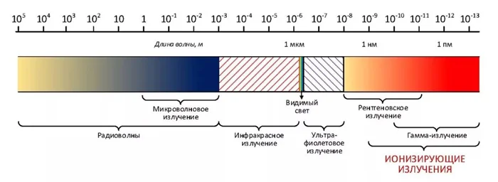 Как микроволновка реально влияет на пищу?
