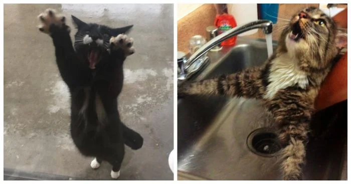 Короли драматического жанра: 17 ярких актёров