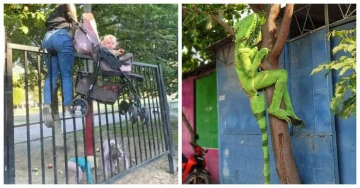 Чудные и непонятные: 15 изображений, которые требуют расшифровки