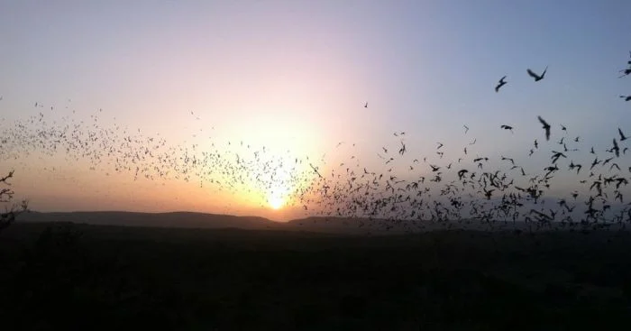 Что не расскажут в школе: 10 занимательных фактов