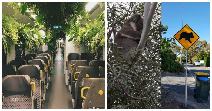 Занятные фишки, обнаруженные в поездках