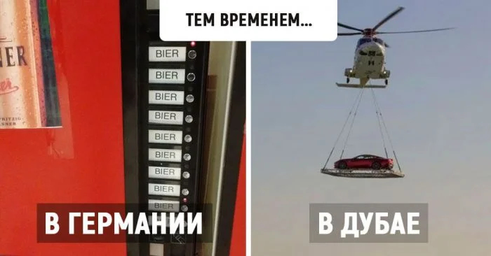 Смешные стереотипы в 19 снимках из серии «тем временем в…»