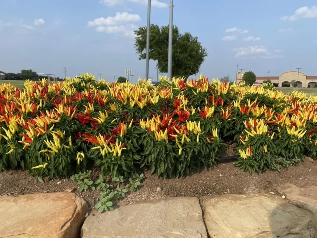 Что замечают туристы: любопытные наблюдения со всего мира
