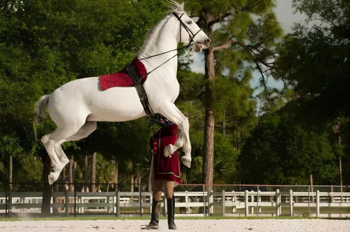 Подборка картинок на общую тему