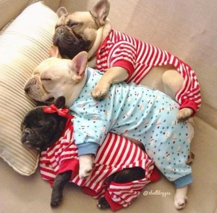 Пижамный протест: 25+ ценителей моды, лишившихся выбора