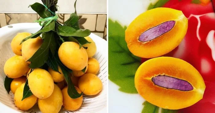 Необычные фрукты: 15 редких плодов, о которых вы не знали