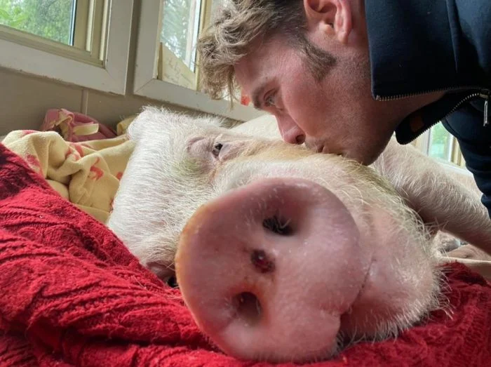 На общую тему