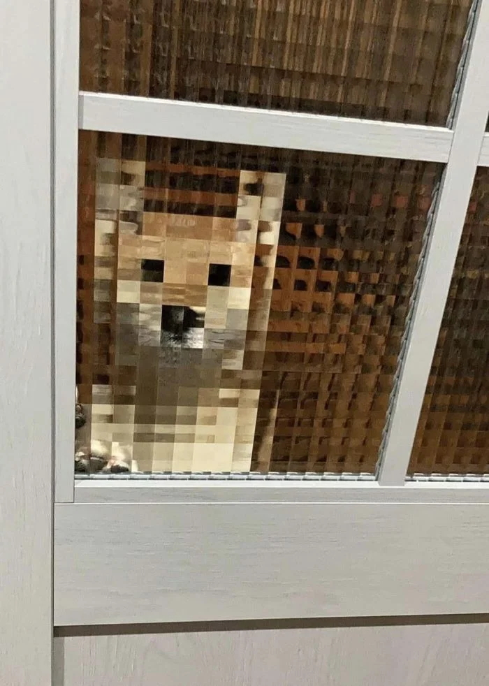 Глюки в реальной жизни: 30 случаев, которые вас удивят