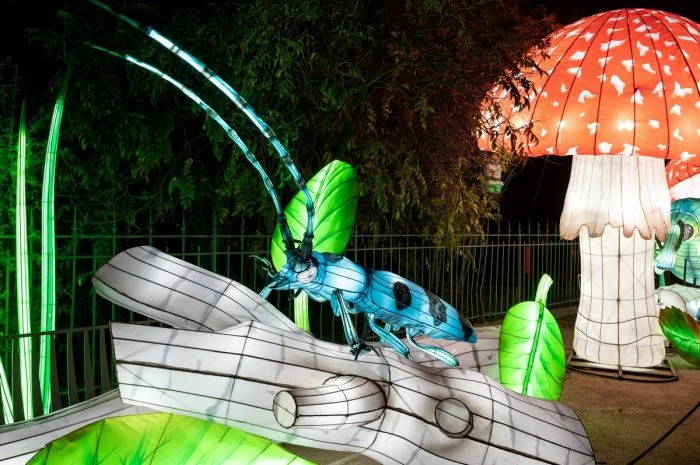 Свежее на общую тему