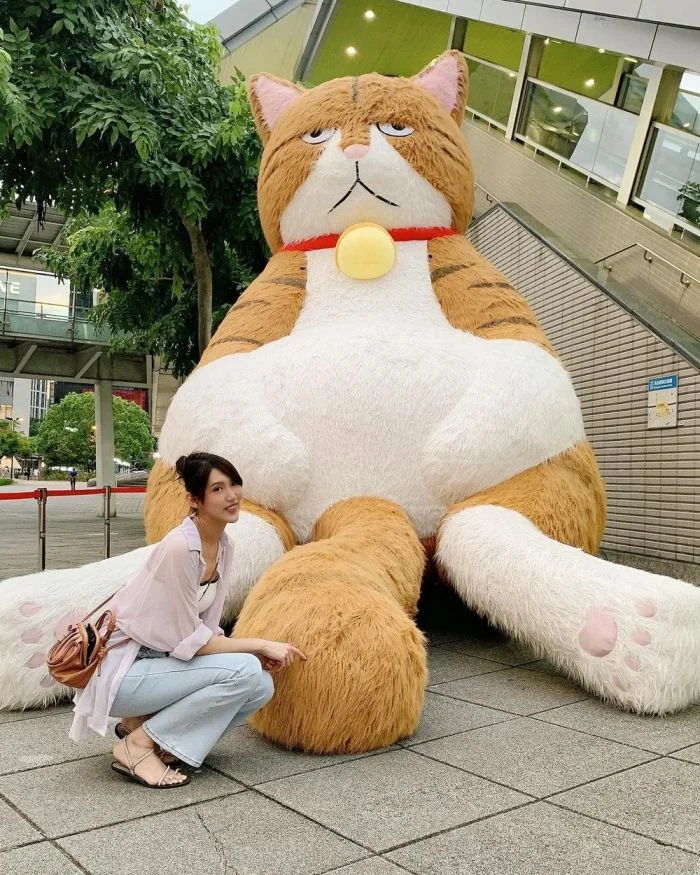 Свежее на общую тему