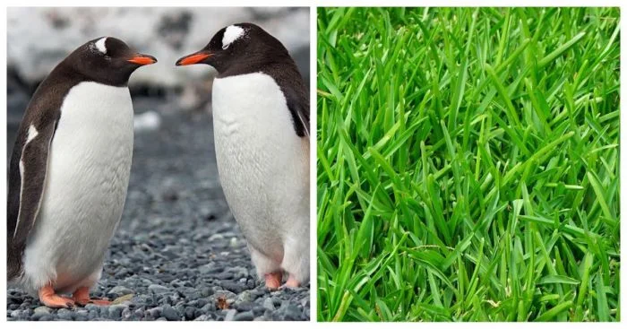 Как 30 необычных фактов могут изменить ваше восприятие мира