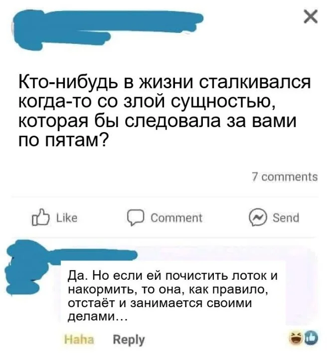 Новые скрины из соцсетей