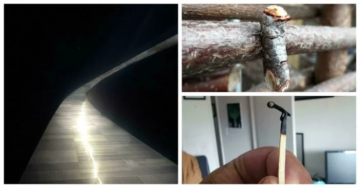 Снимки-иллюзии: 30 фото, на которые вы точно посмотрите дважды