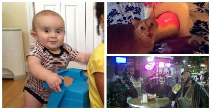 Уморительные снимки: 35 случаев, когда время было идеальным