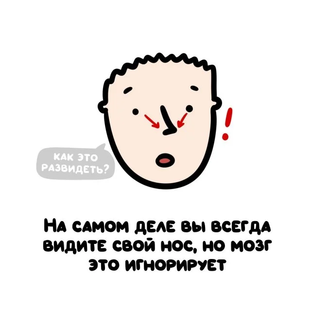 Удивительные факты, которые пригодятся в любой ситуации