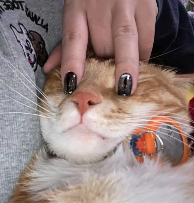 Время для красоты: девочки, записываемся на маникюр!