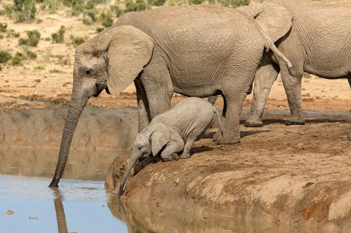 Фото воскресного дня