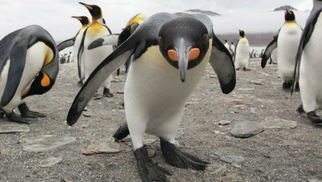 Снова намешалось