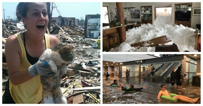 Как люди и животные проявляют стойкость перед стихией